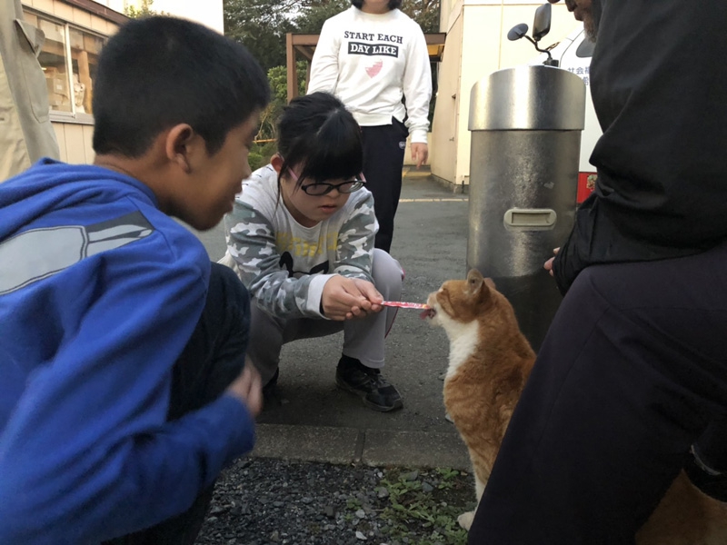 児童デイおそごうから 日常風景 猫 の報告です お知らせ 社会福祉法人 光友会 神奈川県藤沢市 横浜市磯子区 障害者福祉