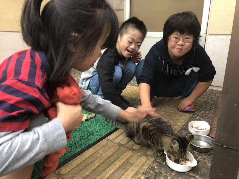 児童デイおそごうから 日常風景 猫 の報告です お知らせ 社会福祉法人 光友会 神奈川県藤沢市 横浜市磯子区 障害者福祉